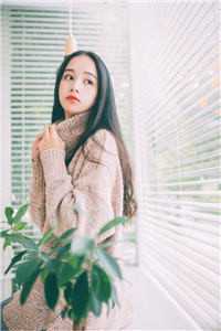 我来松松土txt珠玉在侧