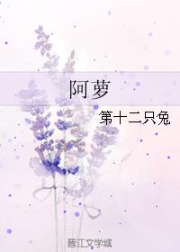 七星解梦网册查码