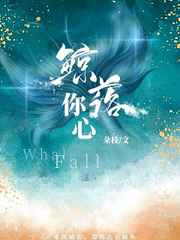 少年歌行真人版1-40集免费