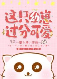 圣斗士星矢礼包