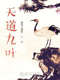 九霄龙帅电视剧全集免费