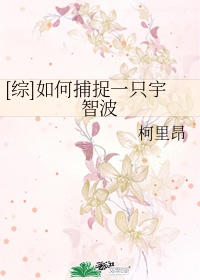开会也一直放里面