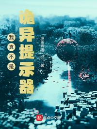 极品家丁在线观看