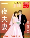 神秘王爷的宠妃