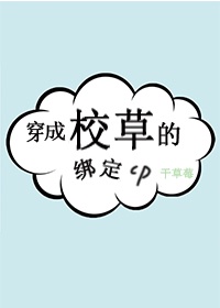 天泪传奇之凤凰无双电视剧免费观看全集