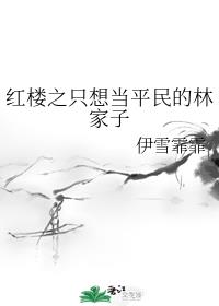 性导航h