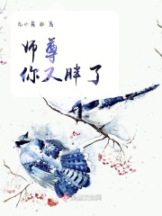 筋膜枪和震动棒是不是一样的效果