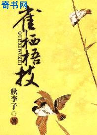 双面荡夫第二季h