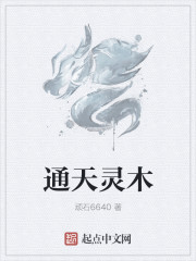 最后的苏丹