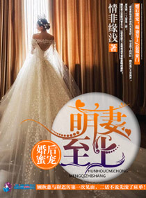 愿赌服输 夜蔓 小说