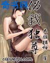 成全视频在线观看免费高清动漫