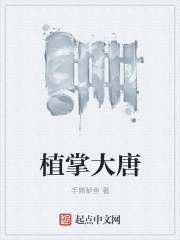 天道惊鸿txt