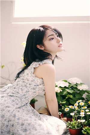 小说最佳女婿txt免费下