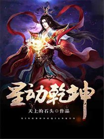 镜子h