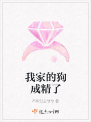 红颜未删减版在线播放