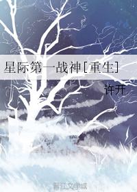 古董局中局在线观看