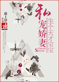 电视连续剧罪证完整版