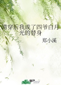 借贷宝视频全集200部