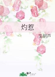 办公室偷情小说