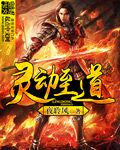 叮咚影视