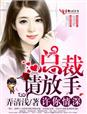一线大腕小说