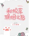 4399在线观看视频bd高清