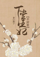 真情错爱小说