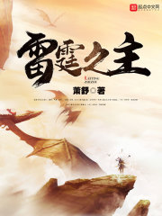 风流医少医完整版