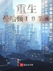 贪念韩国电影