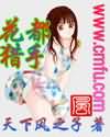 无颜之月无删减版
