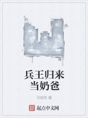 电动天棚帘