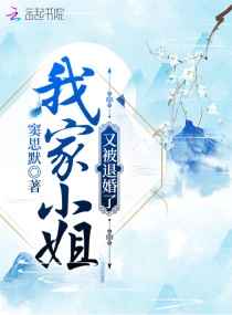 新版金银瓶2024电影免费观看