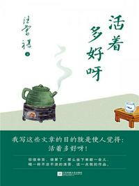 飞天大盗第二季
