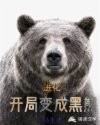 忘年恋小说