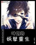 美国h版