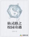新睿桥牌学堂