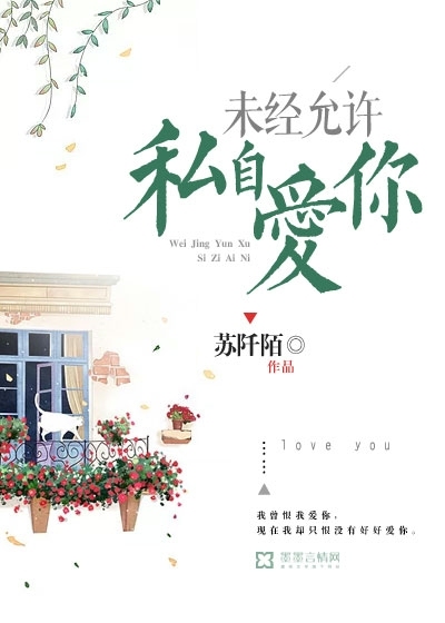 范布隆克霍斯特