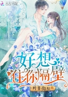 蓝天航空公司王静