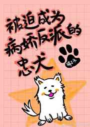 极品透视下载