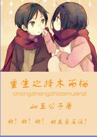 打鸟游戏