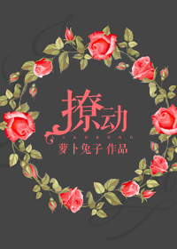 斗罗大陆2大乱斗交大在线