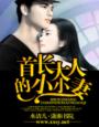 末世大回炉txt精校版