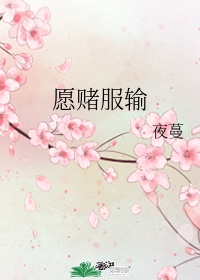 万域之王下载