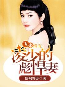 狐妻电影完整版