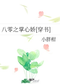 陈东王楠楠小说
