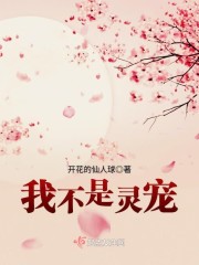 良心无悔