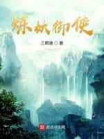 追风筝的人 电影