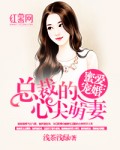 锦心似玉小说原著小说免费阅读