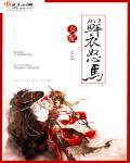 纲手小说