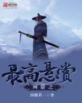 亲爱的翻译官小说